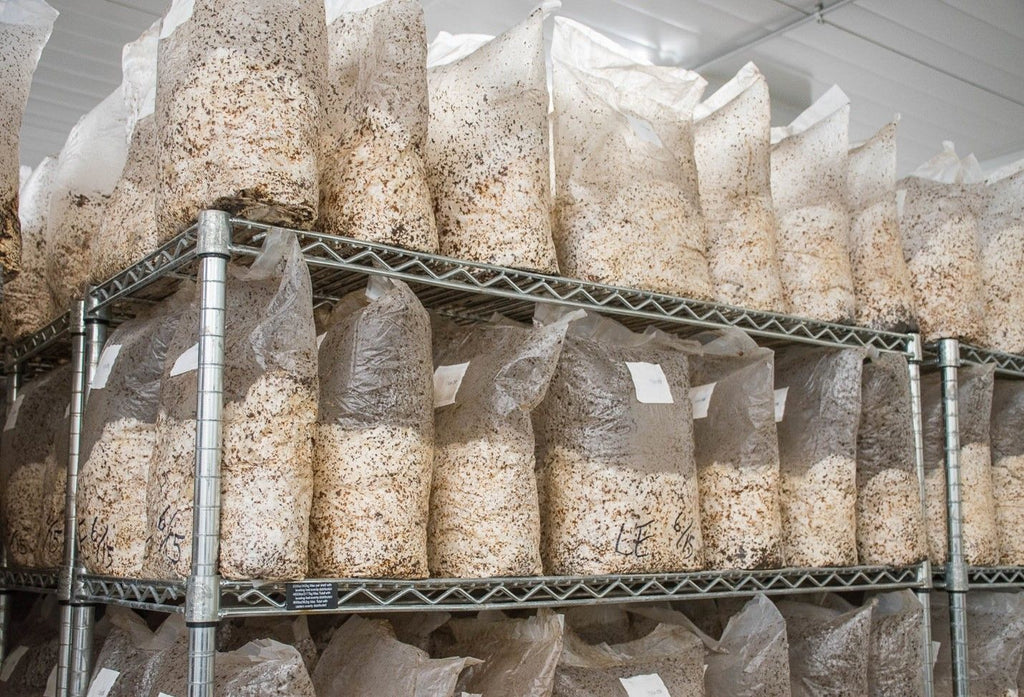 Container farm photo