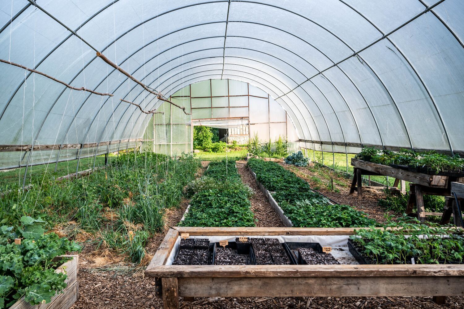 Vivinate Farms container farm