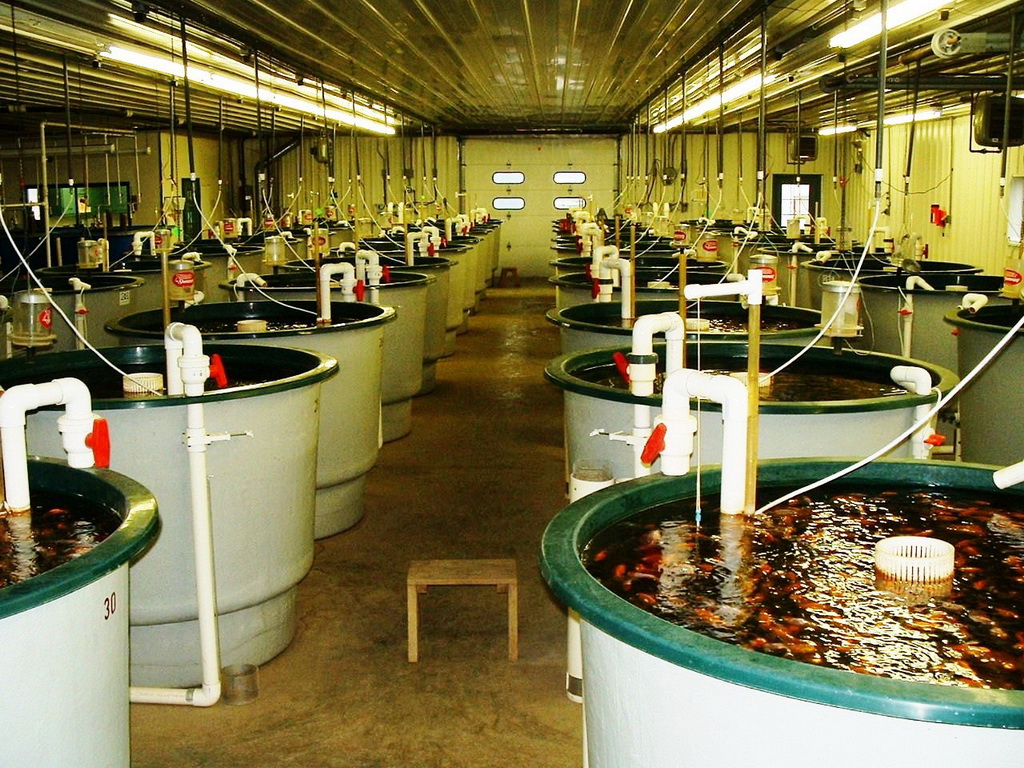 Container farming interior with grow lights