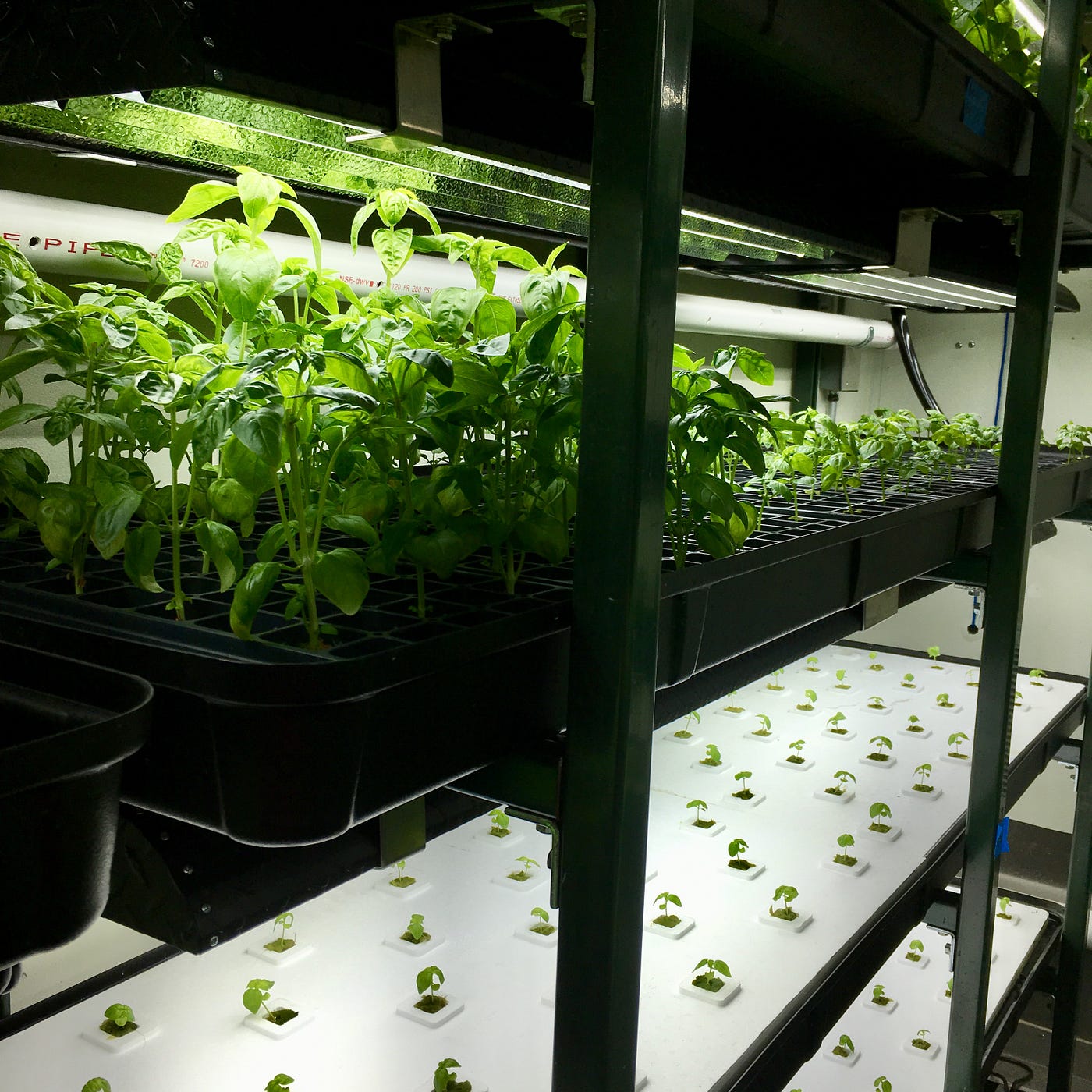 Modern agriculture infrastructure